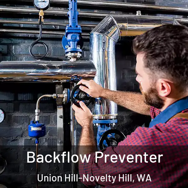  Backflow Preventer Union Hill-Novelty Hill, WA