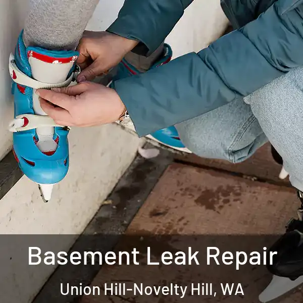  Basement Leak Repair Union Hill-Novelty Hill, WA
