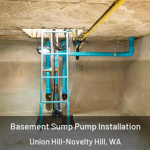  Basement Sump Pump Installation Union Hill-Novelty Hill, WA