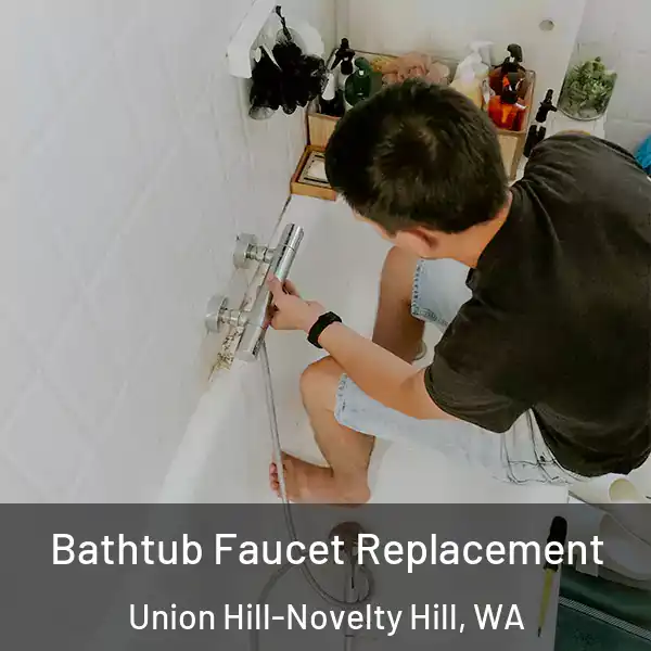  Bathtub Faucet Replacement Union Hill-Novelty Hill, WA