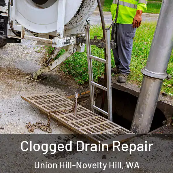  Clogged Drain Repair Union Hill-Novelty Hill, WA
