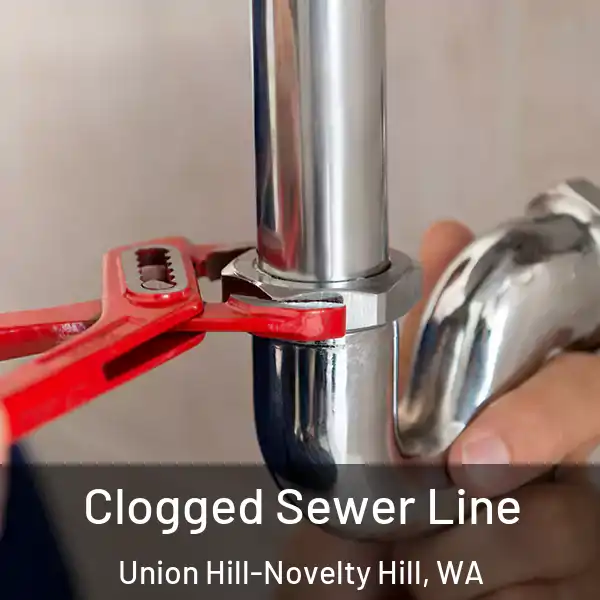  Clogged Sewer Line Union Hill-Novelty Hill, WA