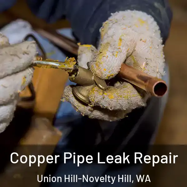  Copper Pipe Leak Repair Union Hill-Novelty Hill, WA