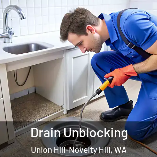  Drain Unblocking Union Hill-Novelty Hill, WA