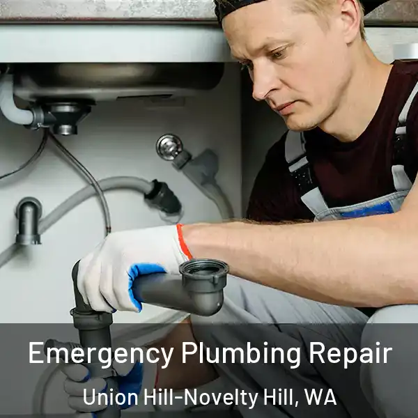  Emergency Plumbing Repair Union Hill-Novelty Hill, WA