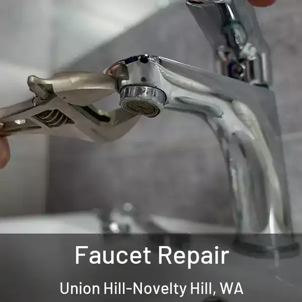  Faucet Repair Union Hill-Novelty Hill, WA