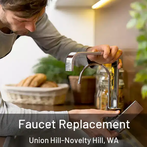  Faucet Replacement Union Hill-Novelty Hill, WA