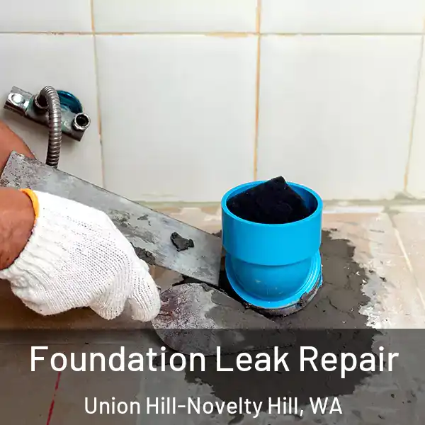  Foundation Leak Repair Union Hill-Novelty Hill, WA