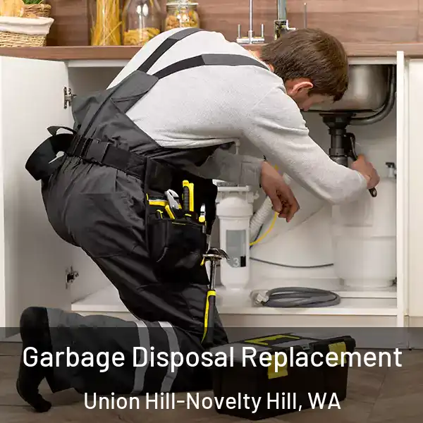  Garbage Disposal Replacement Union Hill-Novelty Hill, WA