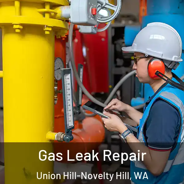  Gas Leak Repair Union Hill-Novelty Hill, WA