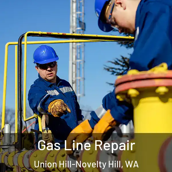  Gas Line Repair Union Hill-Novelty Hill, WA