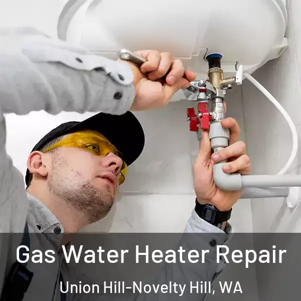  Gas Water Heater Repair Union Hill-Novelty Hill, WA