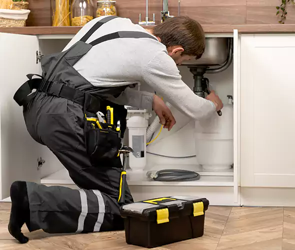 Certified Plumbers for Insinkerator Installation in Union Hill-Novelty Hill