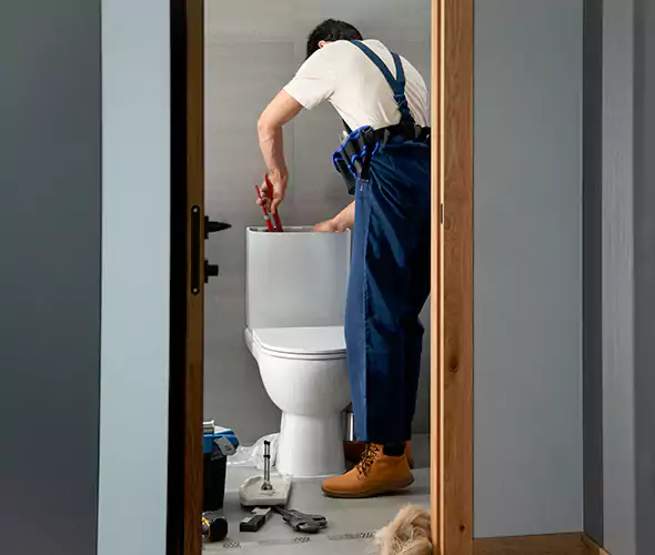 Professional Plumbers for Toilet Bowl Replacement in Union Hill-Novelty Hill, WA: Schedule Affordable Toilet Replacement Services With Us