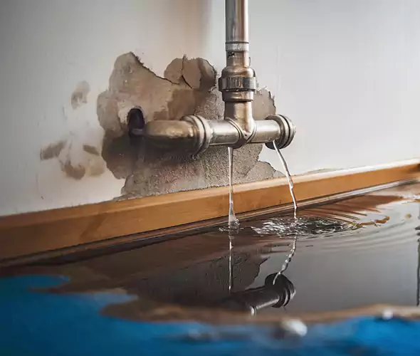 Professional Water Damage Restoration Experts in Union Hill-Novelty Hill, WA — Fast, Reliable & Certified