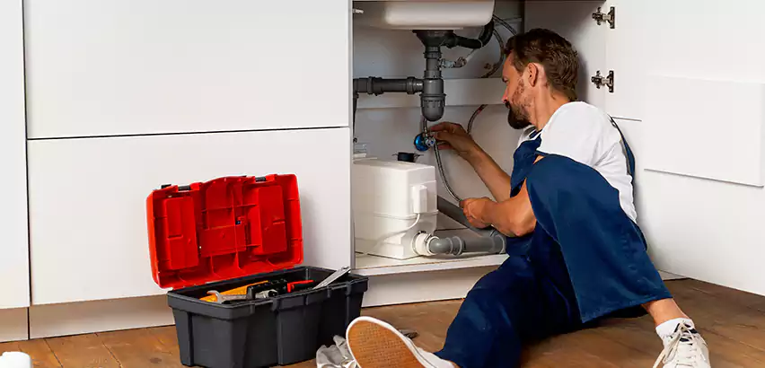 Reliable Garbage Disposal Replacement Services in Union Hill-Novelty Hill, WA