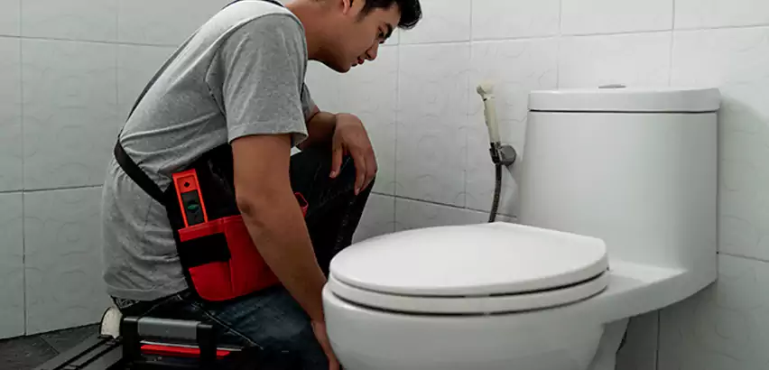Toilet Repair in Union Hill-Novelty Hill