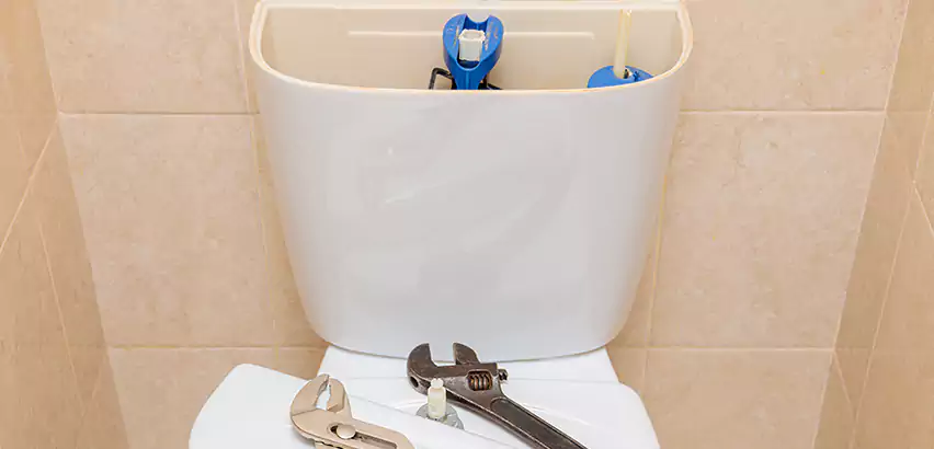 Upflush Toilet Installation in Union Hill-Novelty Hill