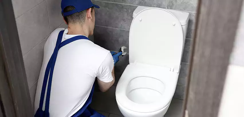 Toilet Lid Replacement in Union Hill-Novelty Hill