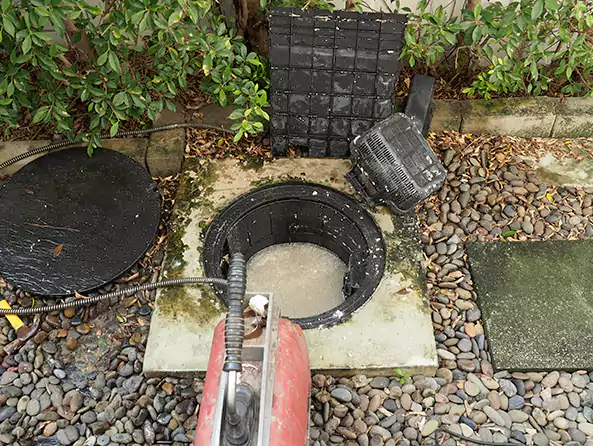 Why Choose Novelty Plumbing for Grease Trap Repair in Union Hill-Novelty Hill, WA?