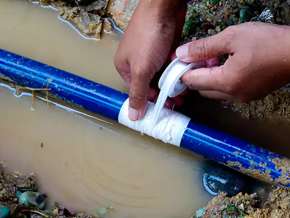  Why Choose Novelty Plumbing for Leak Detection in Union Hill-Novelty Hill, WA?]