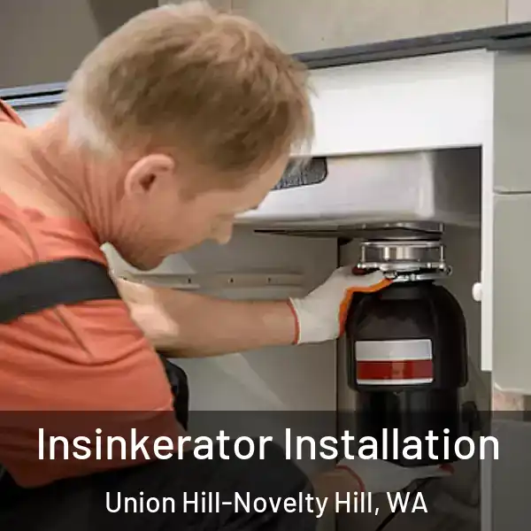  Insinkerator Installation Union Hill-Novelty Hill, WA