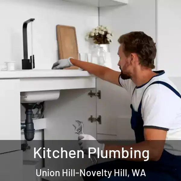  Kitchen Plumbing Union Hill-Novelty Hill, WA