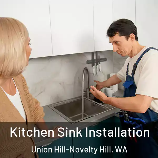  Kitchen Sink Installation Union Hill-Novelty Hill, WA