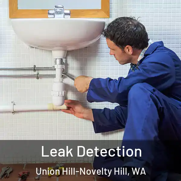  Leak Detection Union Hill-Novelty Hill, WA