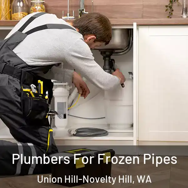  Plumbers For Frozen Pipes Union Hill-Novelty Hill, WA