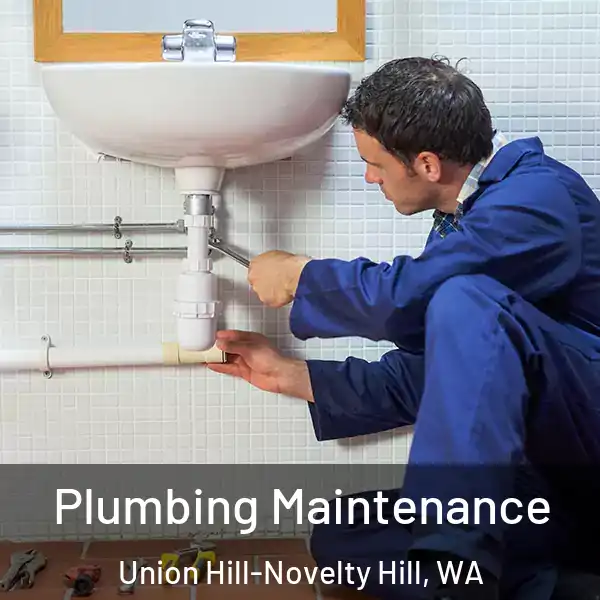  Plumbing Maintenance Union Hill-Novelty Hill, WA