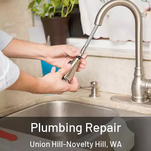  Plumbing Repair Union Hill-Novelty Hill, WA