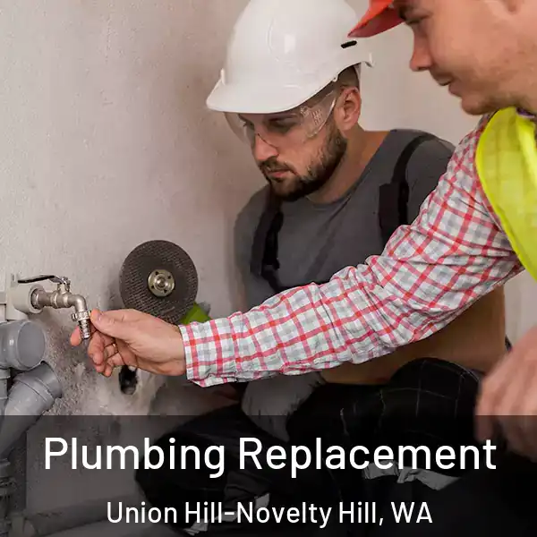  Plumbing Replacement Union Hill-Novelty Hill, WA