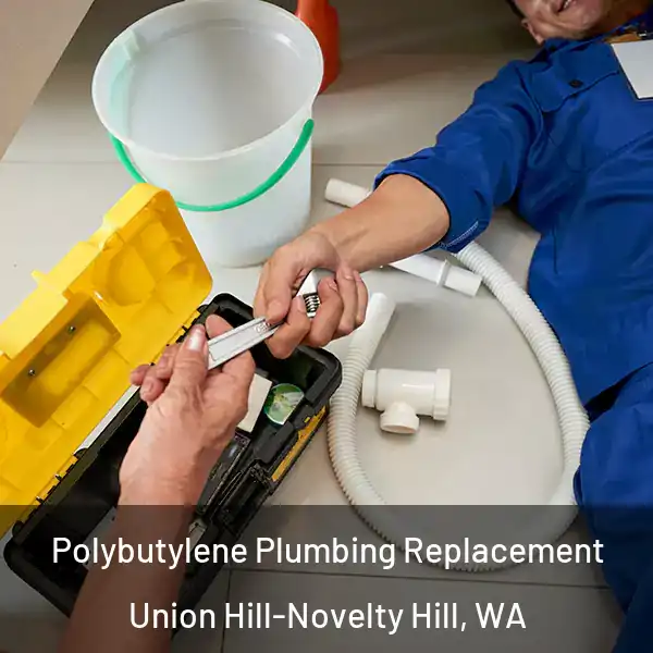  Polybutylene Plumbing Replacement Union Hill-Novelty Hill, WA