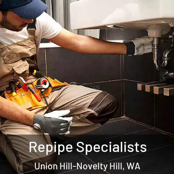 Repipe Specialists Union Hill-Novelty Hill, WA