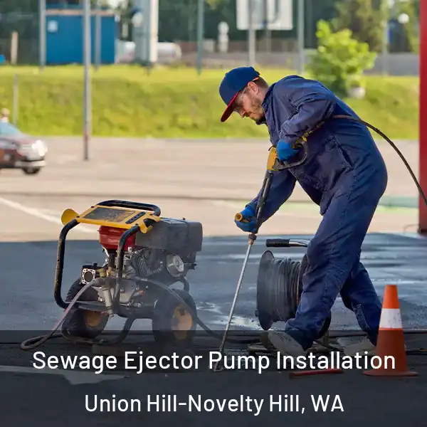 Sewage Ejector Pump Installation Union Hill-Novelty Hill, WA