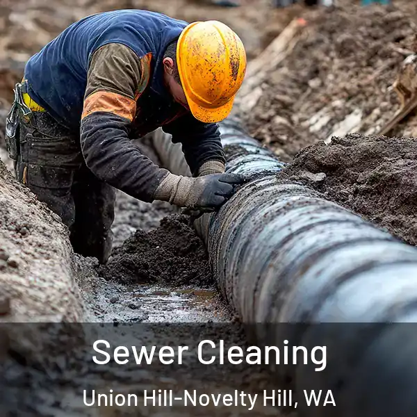  Sewer Cleaning Union Hill-Novelty Hill, WA