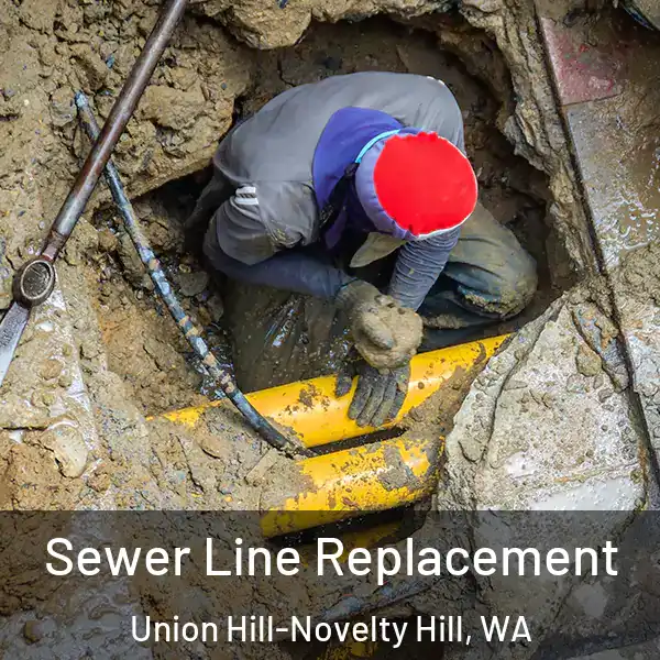  Sewer Line Replacement Union Hill-Novelty Hill, WA