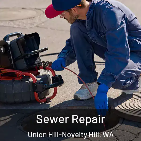  Sewer Repair Union Hill-Novelty Hill, WA