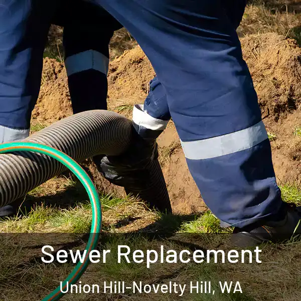  Sewer Replacement Union Hill-Novelty Hill, WA