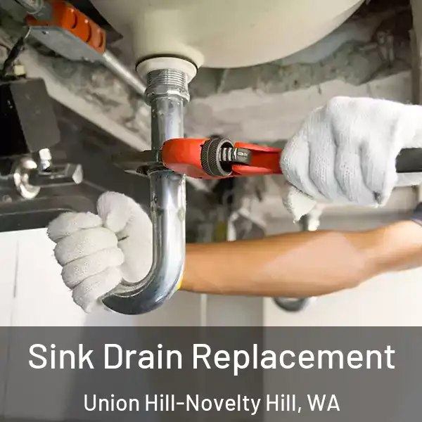  Sink Drain Replacement Union Hill-Novelty Hill, WA