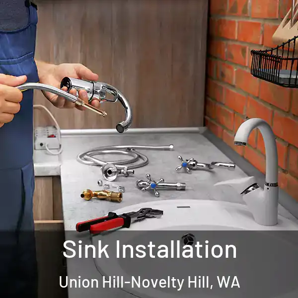  Sink Installation Union Hill-Novelty Hill, WA