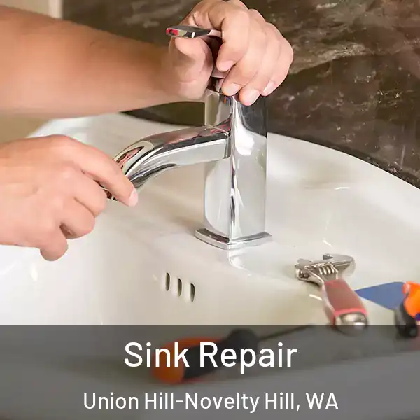  Sink Repair Union Hill-Novelty Hill, WA