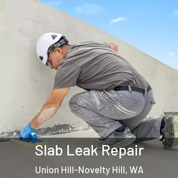  Slab Leak Repair Union Hill-Novelty Hill, WA