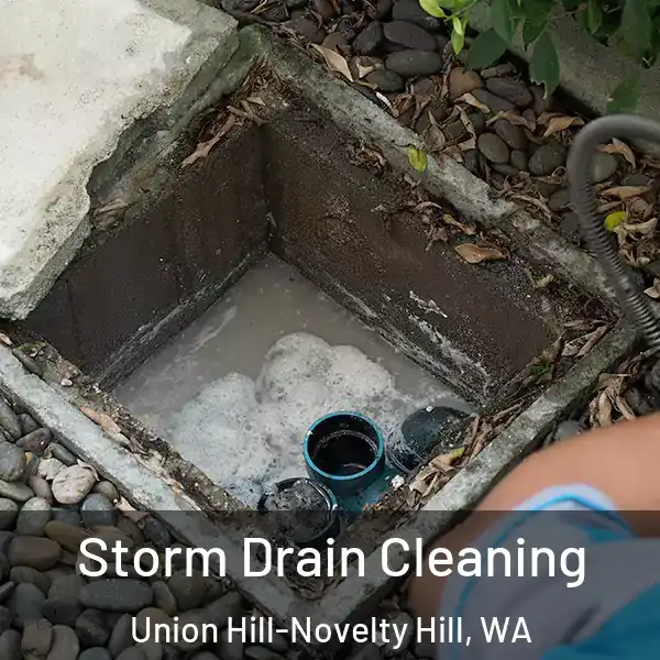  Storm Drain Cleaning Union Hill-Novelty Hill, WA