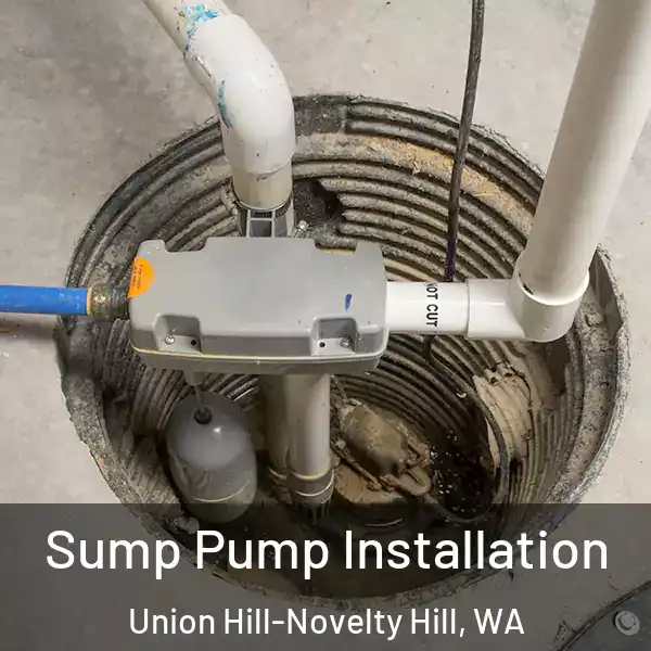  Sump Pump Installation Union Hill-Novelty Hill, WA