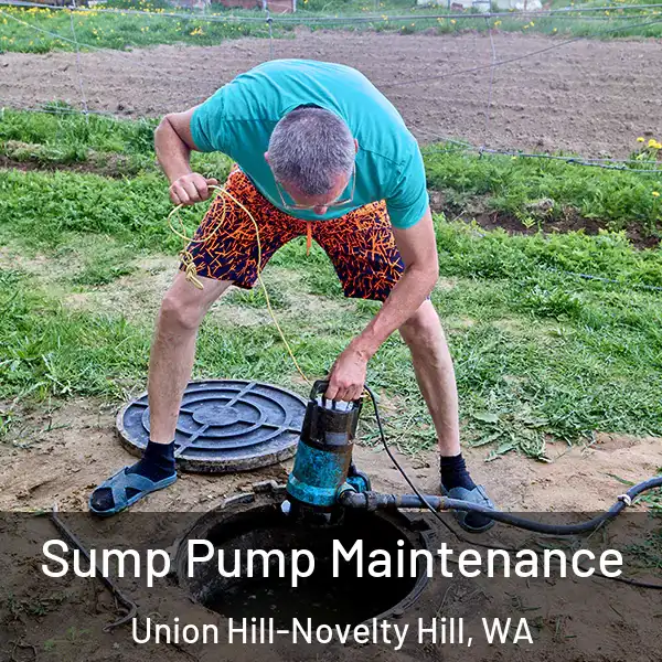  Sump Pump Maintenance Union Hill-Novelty Hill, WA