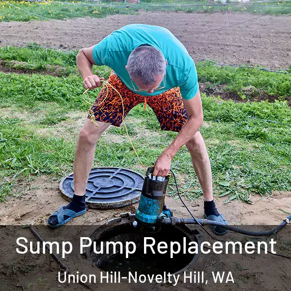  Sump Pump Replacement Union Hill-Novelty Hill, WA