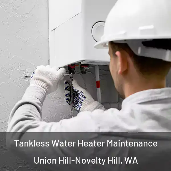  Tankless Water Heater Maintenance Union Hill-Novelty Hill, WA