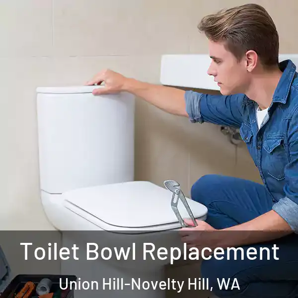  Toilet Bowl Replacement Union Hill-Novelty Hill, WA